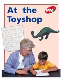 At the Toyshop