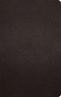 ESV Large Print Personal Size Bible, Red Letter