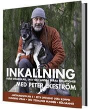 Inkallning : från ståndskall, drev och andra svåra situationer
