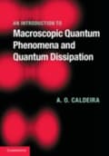 Miniatyrbillede 1 af 2: An Introduction to Macroscopic Quantum Phenomena and Quantum Dissipation