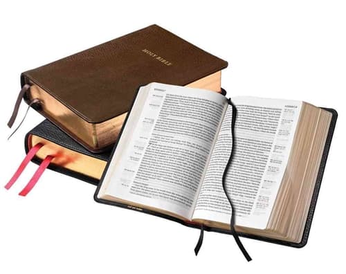 NASB Clarion Reference Bible, Brown Calfskin Leather, NS485:X
