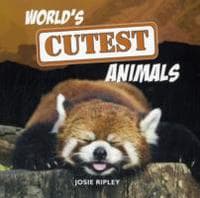 World's Cutest Animals