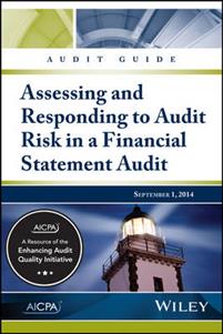 Audit Guide