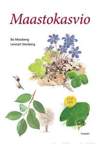Maastokasvio