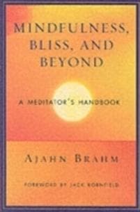 Mindfulness Bliss and Beyond
