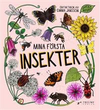Mina första insekter
