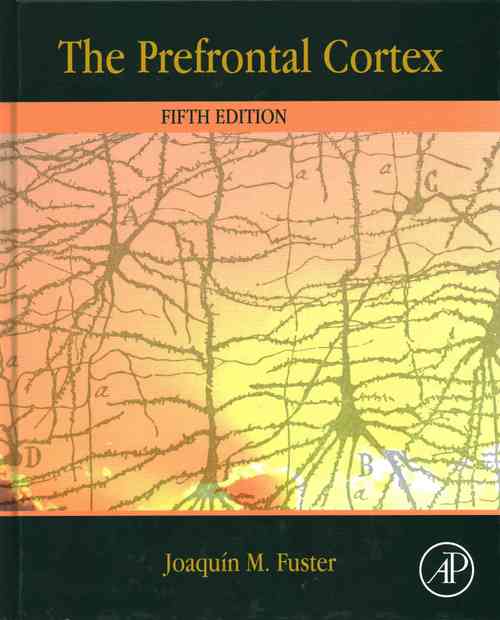 The Prefrontal Cortex