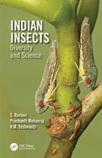 Indian Insects