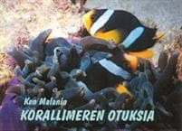 Korallimeren otuksia