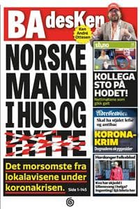 Norske mann i hus og hytte