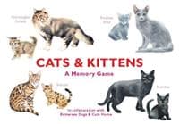 CatsKittens