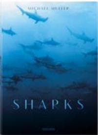 Michael Muller. Sharks