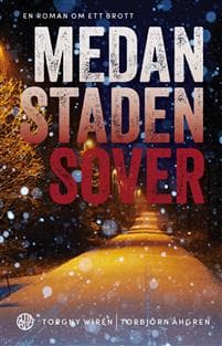 Medan staden sover : en roman om brott
