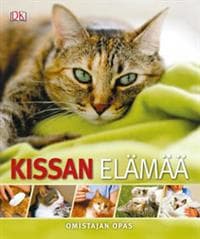Kissan elämää