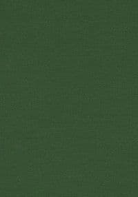 Discoveries in the Judaean Desert: Volume XXXVIII. Miscellaneous Texts from the Judaean Desert