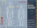 Miniatyrbilde 2 av 2: The Measure of Man and Woman