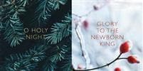 SPCK Charity Christmas Cards, Pack of 10, 2 Designs