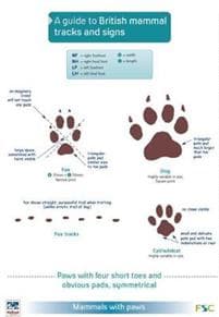 Guide to British Mammal Tracks and Signs