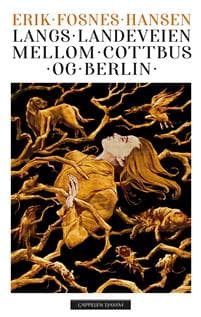 Langs landeveien mellom Cottbus og Berlin