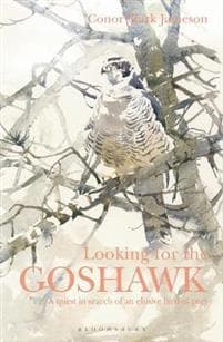 Looking for the Goshawk