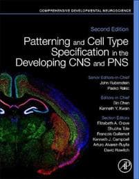 Patterning and Cell Type Specification in the Developing CNS and PNS