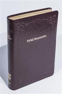 Raamattu (johdannoin, iso koko, iso teksti, v.punainen, R45, nahkakansi)