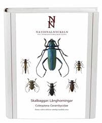 Skalbaggar : långhorningar. Coleoptera : cerambycidae
