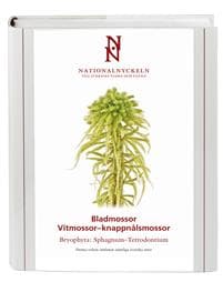 Bladmossor: Vitmossor knappnålsmossor: Bryophyta: Sphagnum–Tetrodontium
