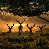 British Wildlife 2021 Calendar