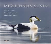 Merilinnun siivin