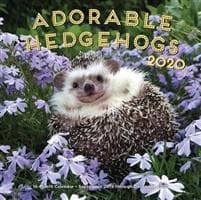 Adorable Hedgehogs 2020