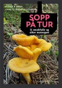 Sopp på tur