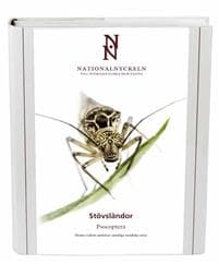 Stövsländor. Psocoptera