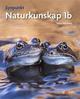 Synpunkt 1b Synpunkt 1b