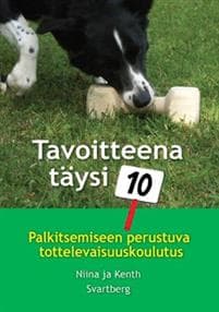 Tavoitteena täysi kymppi