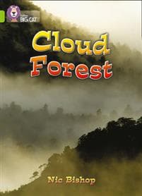 The Cloud Forest