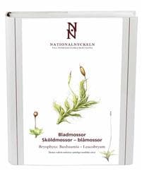 Bladmossor : sköldmossor - blåmossor. Bryophyta : buxbaumia - leucobryum