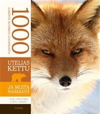 Utelias kettu ja muita nisäkkäitä