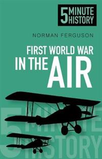 First World War in the Air