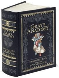 Gray's Anatomy (BarnesNoble Collectible Classics: Omnibus Edition)