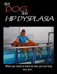My Dog Has Hip Dysplasia - but Lives Life to the Full