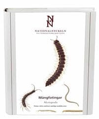 Mångfotingar. Myriapoda