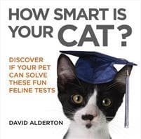How Smart Is Your Cat?