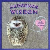 Hedgehog Wisdom