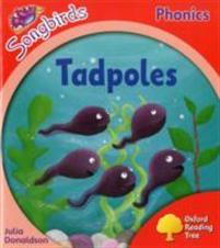 Oxford Reading Tree Songbirds Phonics