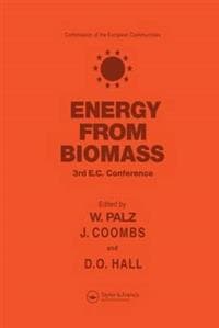 Energy from the Biomass