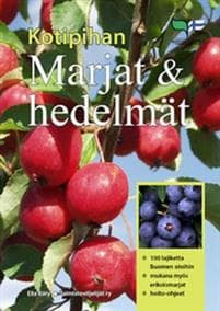 Kotipihan marjat ja hedelmät