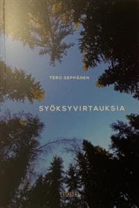 Syöksyvirtauksia