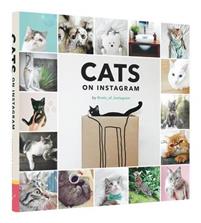 Cats On Instagram