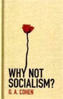 Why Not Socialism?